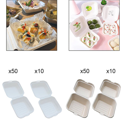 Compostable 6X6 Clamshell Take-Out Food Containers, Bagasse Boxes, To-Go Box